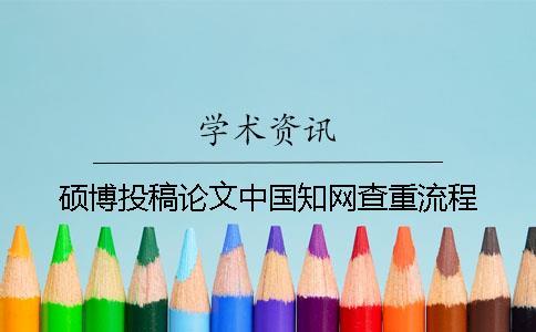 碩博投稿論文中國學術查重流程
