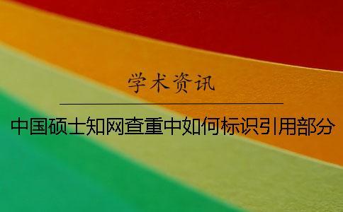 中國碩士學術查重中如何標識引用部分才能被學術查重系統識別？