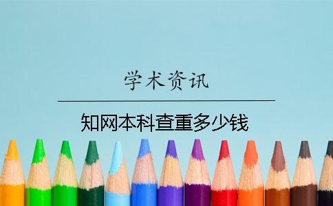 學術本科查重多少錢