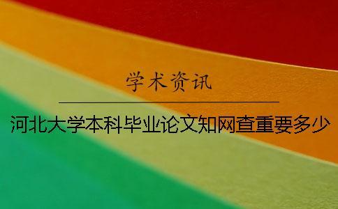 河北大學本科畢業論文學術查重要多少錢一次檢測