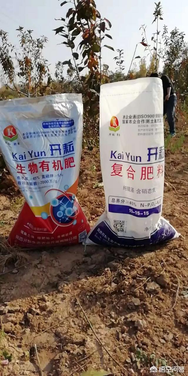 復合肥和生物有機肥可以混合使用嗎？有哪些需要注意的問題？